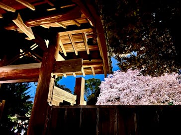 六義園に投稿された画像（2025/3/28）