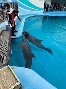 南知多ビーチランド＆南知多おもちゃ王国に投稿された画像（2025/3/28）