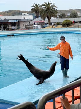 南知多ビーチランド＆南知多おもちゃ王国に投稿された画像（2025/3/28）