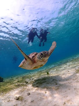 SUNSHINE MARIN 宮古島に投稿された画像（2025/3/28）