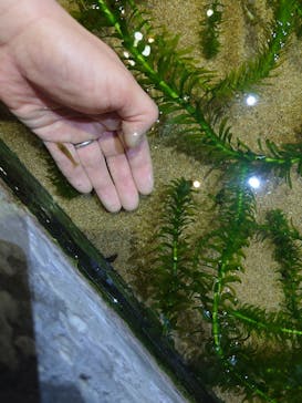 伊豆・三津シーパラダイスに投稿された画像（2025/3/28）