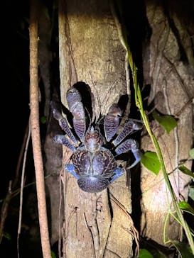 SUNSHINE MARIN 宮古島に投稿された画像（2025/3/28）