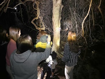 SUNSHINE MARIN 宮古島に投稿された画像（2025/3/28）