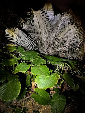 SUNSHINE MARIN 宮古島に投稿された画像（2025/3/28）