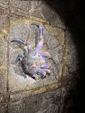 SUNSHINE MARIN 宮古島に投稿された画像（2025/3/28）