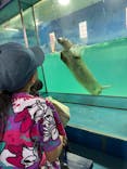 下田海中水族館に投稿された画像（2025/3/28）