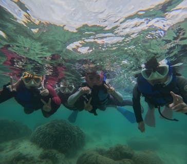 沖縄マリンサービス碧に投稿された画像（2025/3/28）