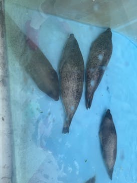 アソビュー！ポイントに投稿された画像（2025/3/28）