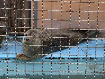 アソビュー！ポイントに投稿された画像（2025/3/28）