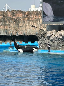 名古屋港水族館に投稿された画像（2025/3/28）