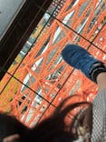 東京タワーに投稿された画像（2025/3/28）