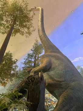 福井県立恐竜博物館に投稿された画像（2025/3/28）