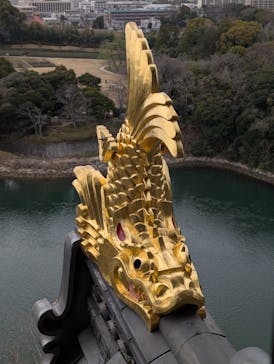 岡山城天守に投稿された画像（2025/3/28）