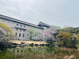 東京国立博物館に投稿された画像（2025/3/28）