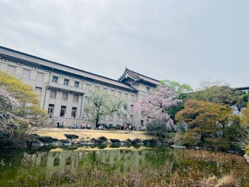 東京国立博物館に投稿された画像（2025/3/28）