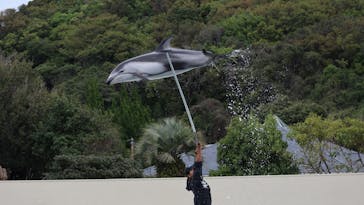 太地町立くじらの博物館に投稿された画像（2025/3/28）