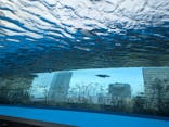 サンシャイン水族館に投稿された画像（2025/3/28）
