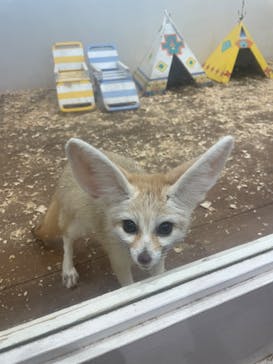 アニタッチみなとみらいに投稿された画像（2025/3/28）