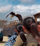 那須どうぶつ王国に投稿された画像（2025/3/28）