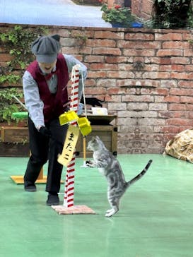 那須どうぶつ王国に投稿された画像（2025/3/28）