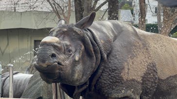 名古屋市東山動植物園に投稿された画像（2025/3/28）