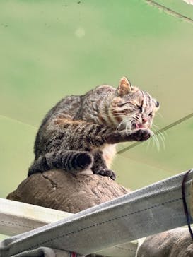 名古屋市東山動植物園に投稿された画像（2025/3/28）