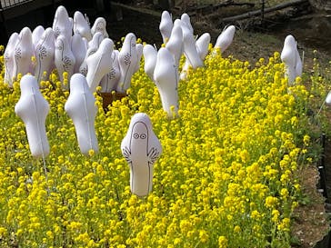 ムーミンバレーパークに投稿された画像（2025/3/28）