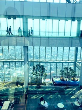 ハルカス300(展望台)に投稿された画像（2025/3/28）