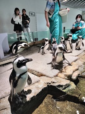 NIFREL（ニフレル）に投稿された画像（2025/3/28）