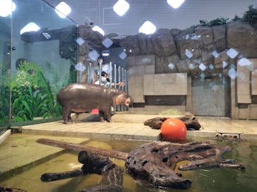 NIFREL（ニフレル）に投稿された画像（2025/3/28）