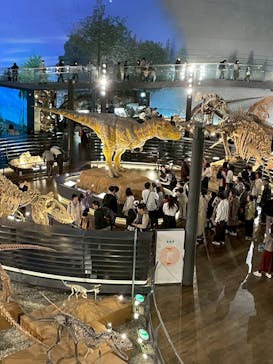 福井県立恐竜博物館に投稿された画像（2025/3/28）