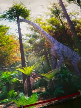 福井県立恐竜博物館に投稿された画像（2025/3/28）