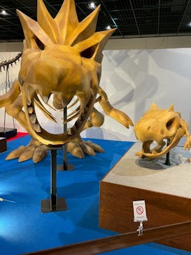 福井県立恐竜博物館に投稿された画像（2025/3/28）