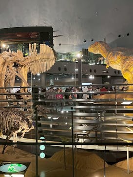 福井県立恐竜博物館に投稿された画像（2025/3/28）