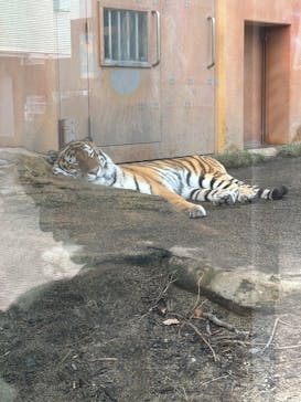 那須どうぶつ王国に投稿された画像（2025/3/28）