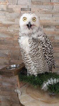 アニタッチ MARK IS 静岡に投稿された画像（2025/3/28）