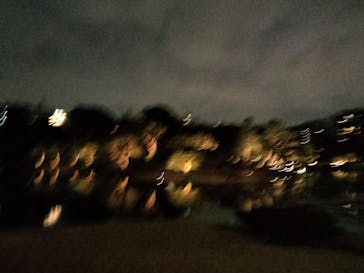 六義園に投稿された画像（2025/3/28）