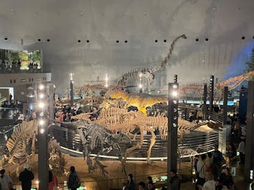 福井県立恐竜博物館に投稿された画像（2025/3/28）