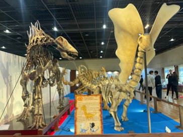 福井県立恐竜博物館に投稿された画像（2025/3/28）