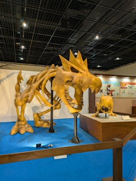 福井県立恐竜博物館に投稿された画像（2025/3/28）