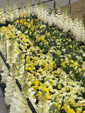 名古屋市東山動植物園に投稿された画像（2025/3/28）