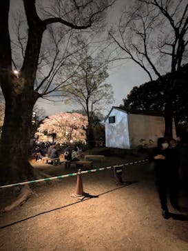 六義園に投稿された画像（2025/3/28）