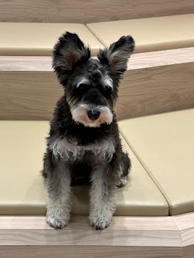 いぬカフェRio 富士見店に投稿された画像（2025/3/28）