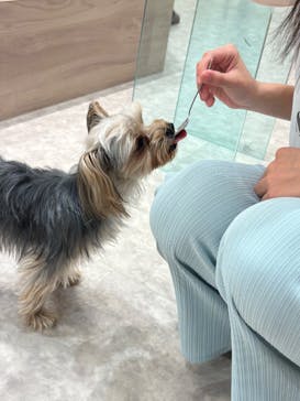 いぬカフェRio 富士見店に投稿された画像（2025/3/28）