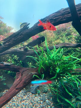 AOAO SAPPOROに投稿された画像（2025/3/28）