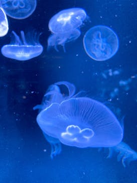 AOAO SAPPOROに投稿された画像（2025/3/28）