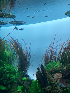 AOAO SAPPOROに投稿された画像（2025/3/28）