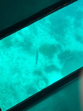 まりんはうすぐるくんに投稿された画像（2025/3/28）