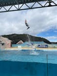 下田海中水族館に投稿された画像（2025/3/28）