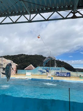 下田海中水族館に投稿された画像（2025/3/28）